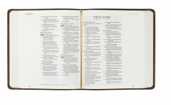 Westminster ESV Journaling Bible