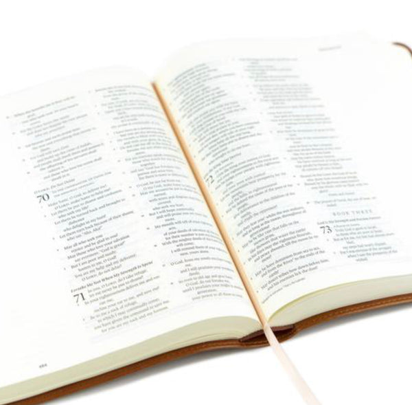 ESV JOURNALING BIBLE: SIERRA THEME