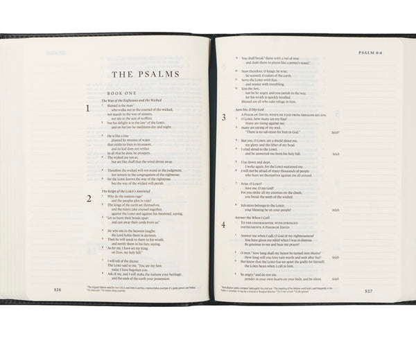Hyde Park ESV Journaling Bible