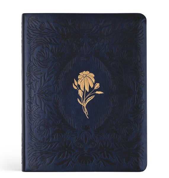 Versailles NLT Notetaking Bible