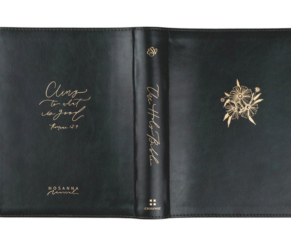 Hyde Park ESV Journaling Bible