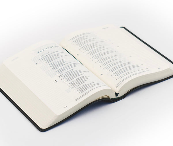 Hyde Park ESV Journaling Bible