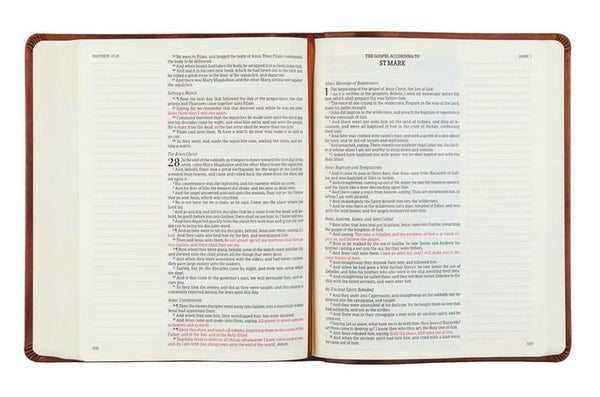 KJV Large Print Notetaking Bible: Vienna Theme