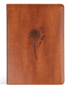 Sierra Theme ESV LARGE PRINT Journaling Bible