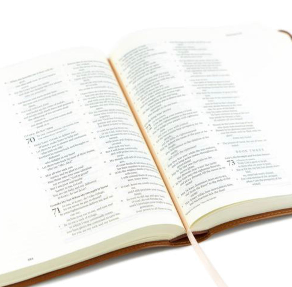 ESV JOURNALING BIBLE SIERRA THEME Wells Cooperative